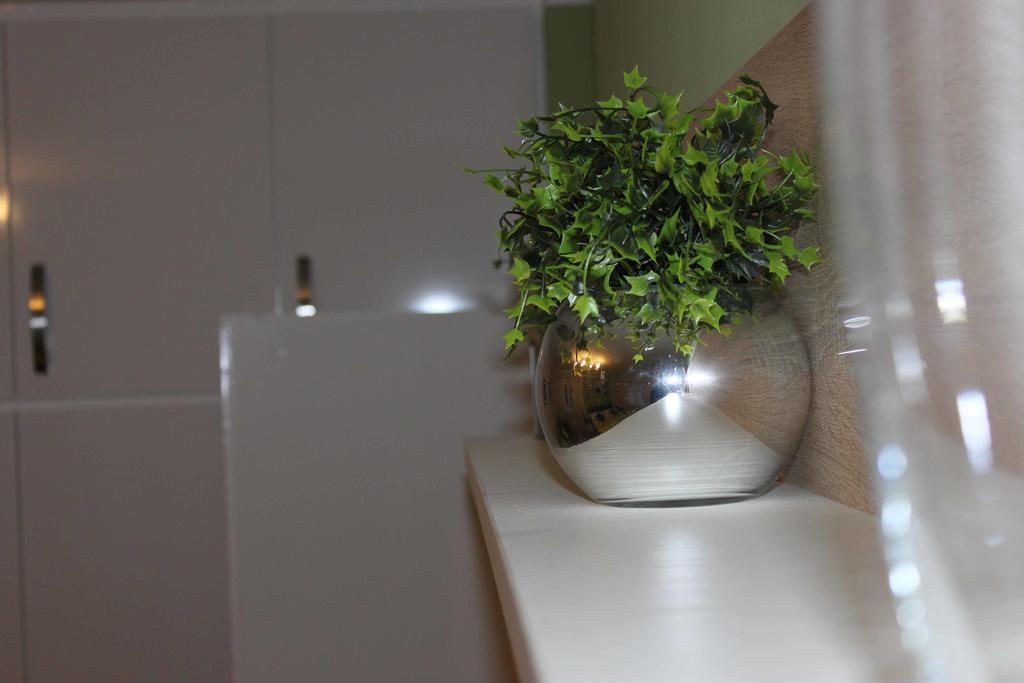 Apartment Evergreen Zadar Eksteriør billede